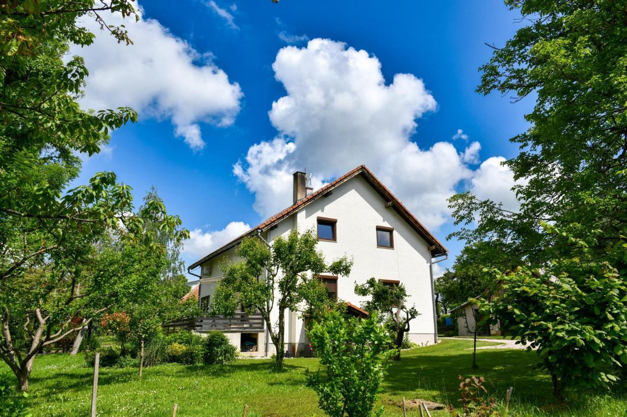 Apartment Murva Drežnik Grad Zewnętrze zdjęcie