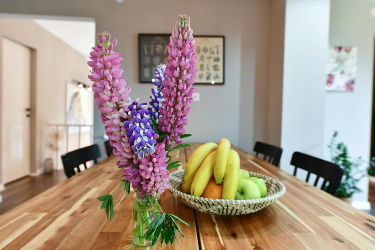 Apartment Murva Drežnik Grad Zewnętrze zdjęcie